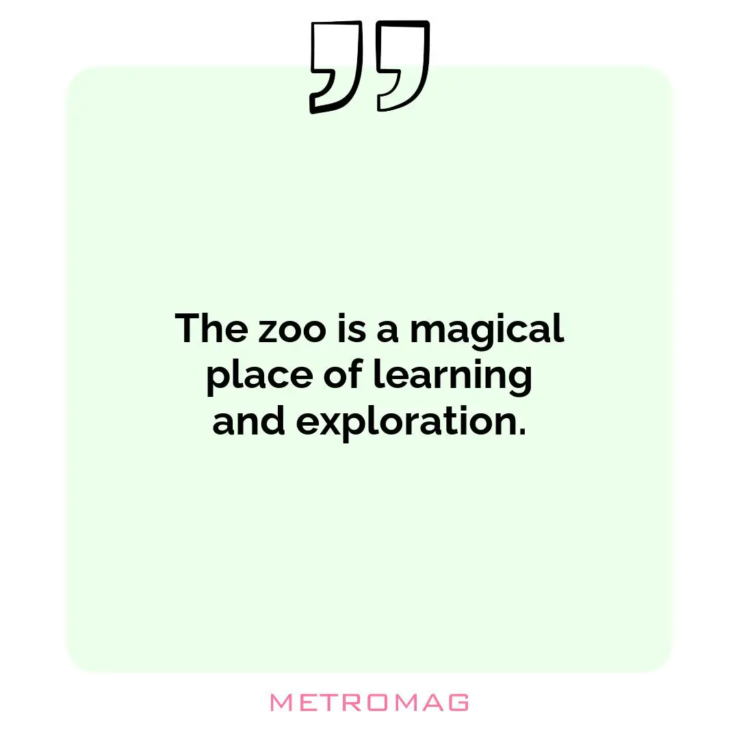 The zoo is a magical place of learning and exploration.