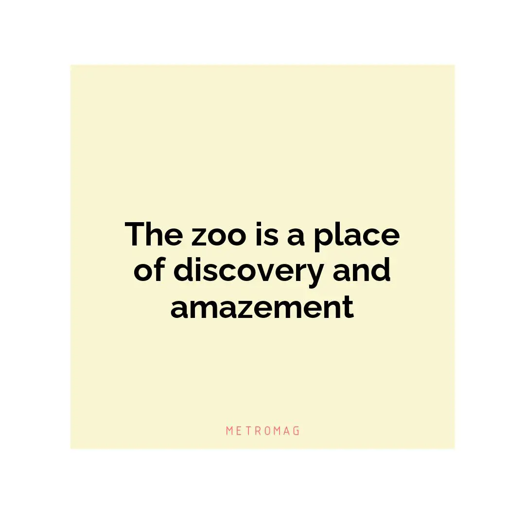 The zoo is a place of discovery and amazement