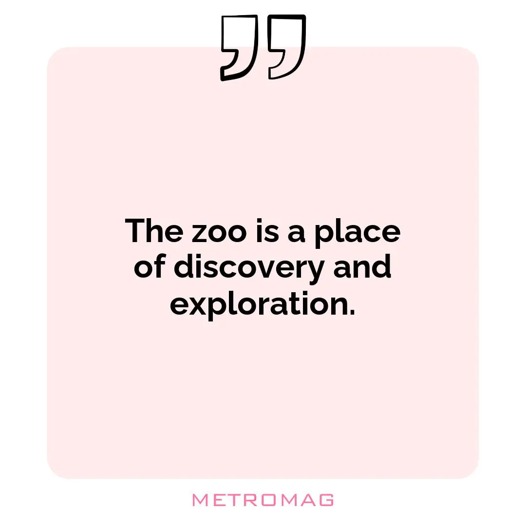 The zoo is a place of discovery and exploration.