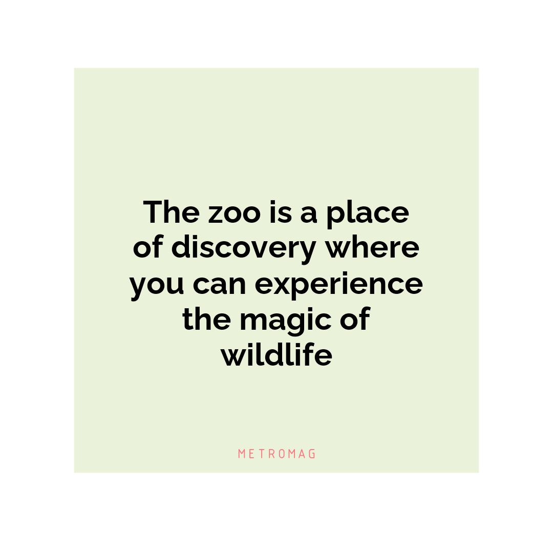 The zoo is a place of discovery where you can experience the magic of wildlife