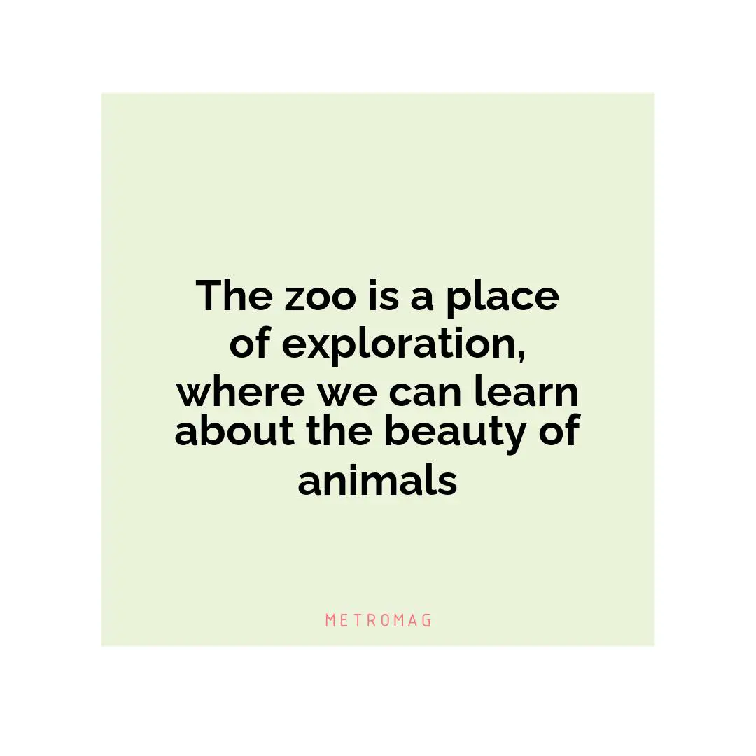The zoo is a place of exploration, where we can learn about the beauty of animals