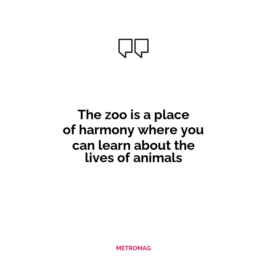 The zoo is a place of harmony where you can learn about the lives of animals