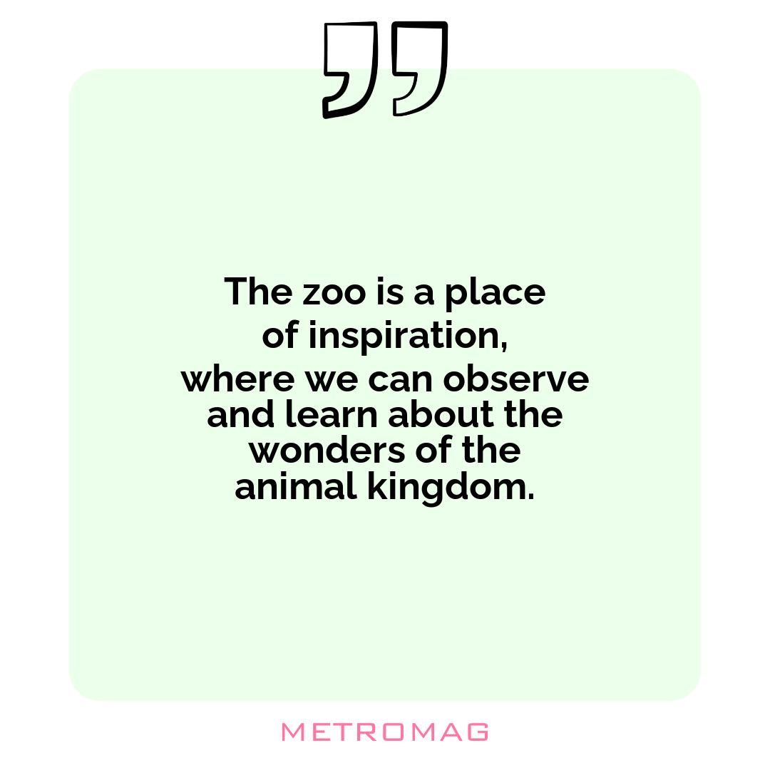 The zoo is a place of inspiration, where we can observe and learn about the wonders of the animal kingdom.