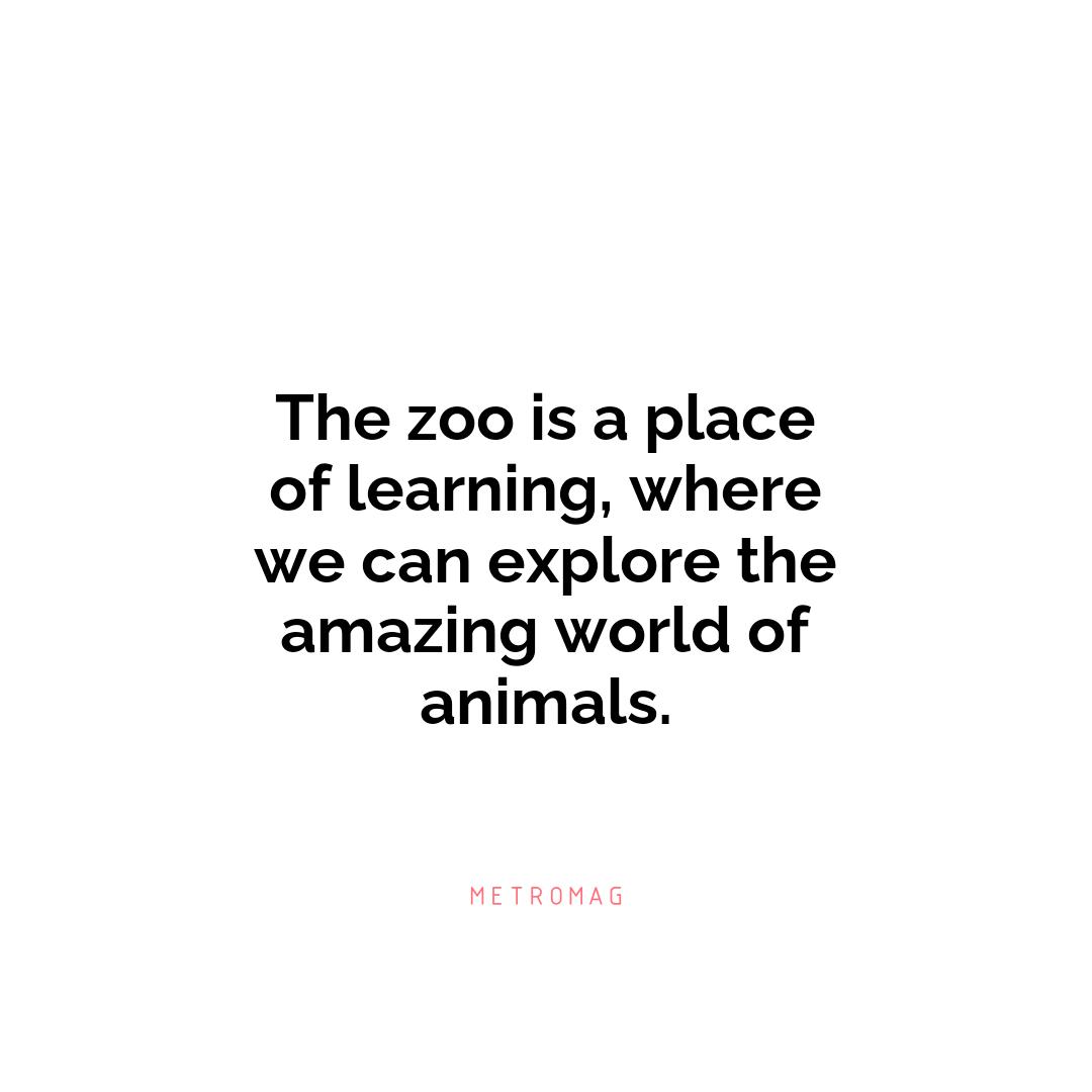 The zoo is a place of learning, where we can explore the amazing world of animals.