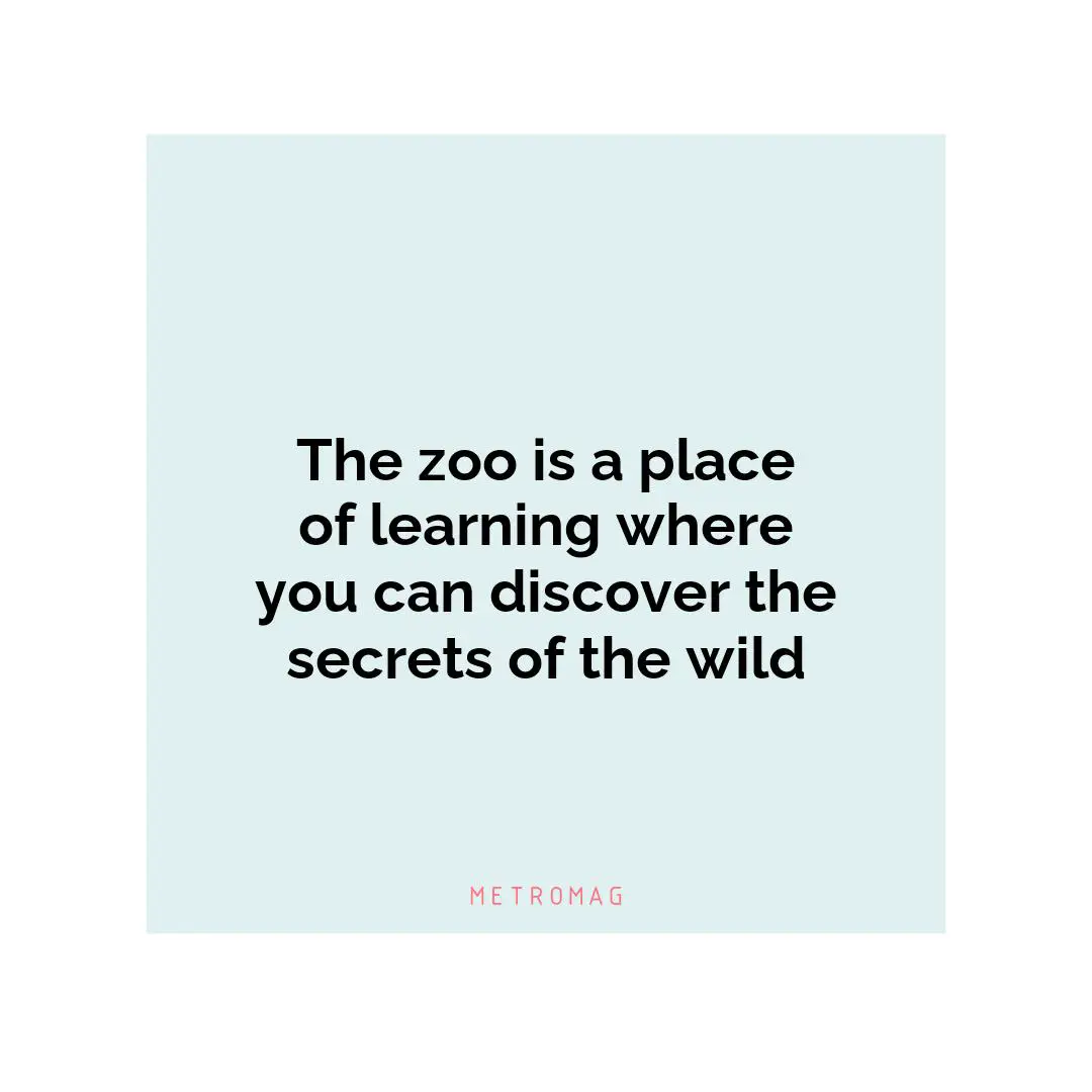 The zoo is a place of learning where you can discover the secrets of the wild