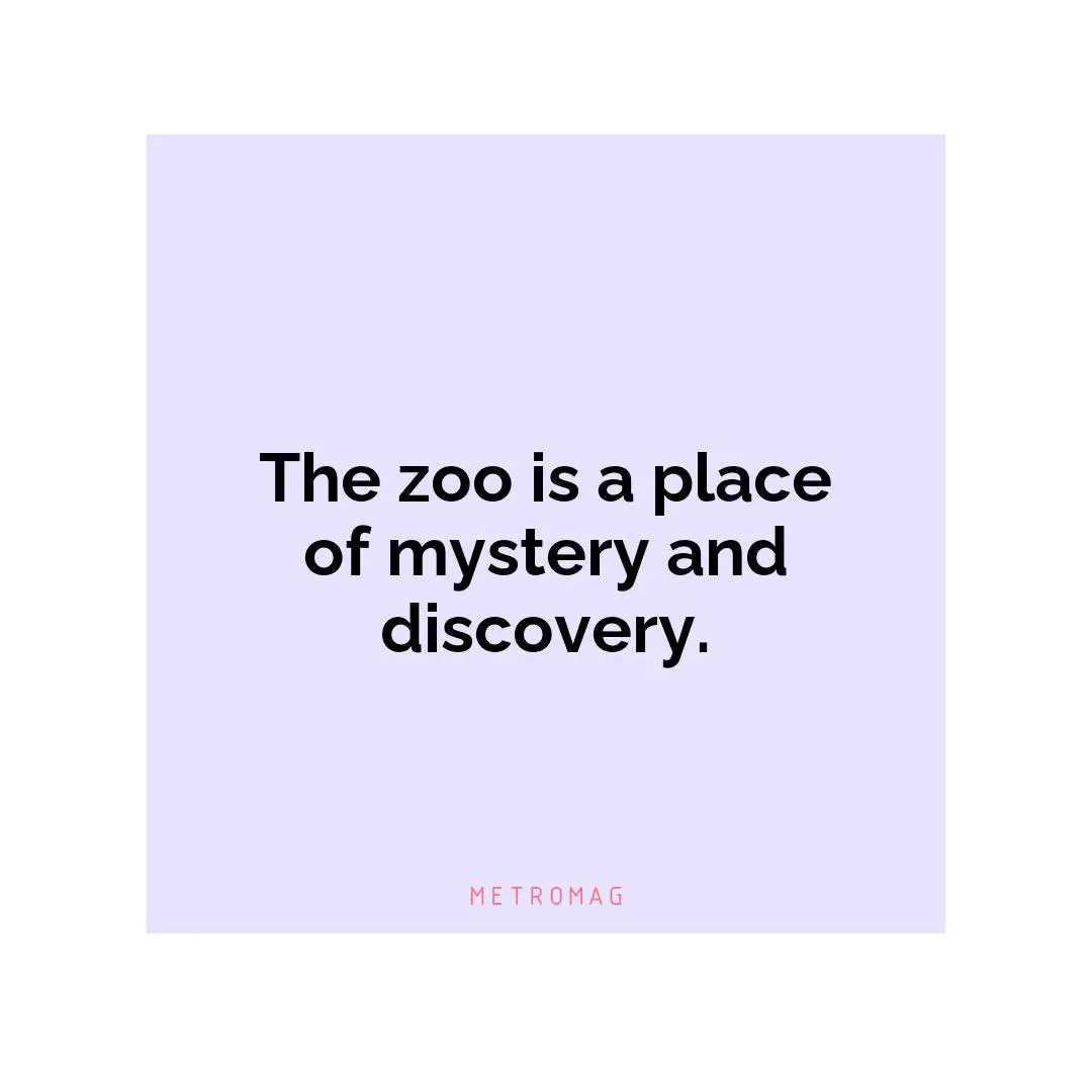 The zoo is a place of mystery and discovery.