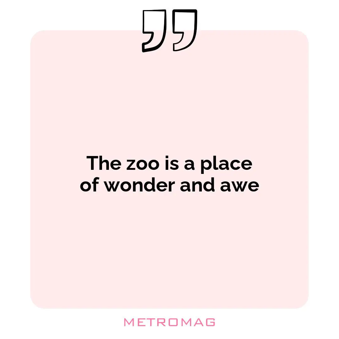 The zoo is a place of wonder and awe