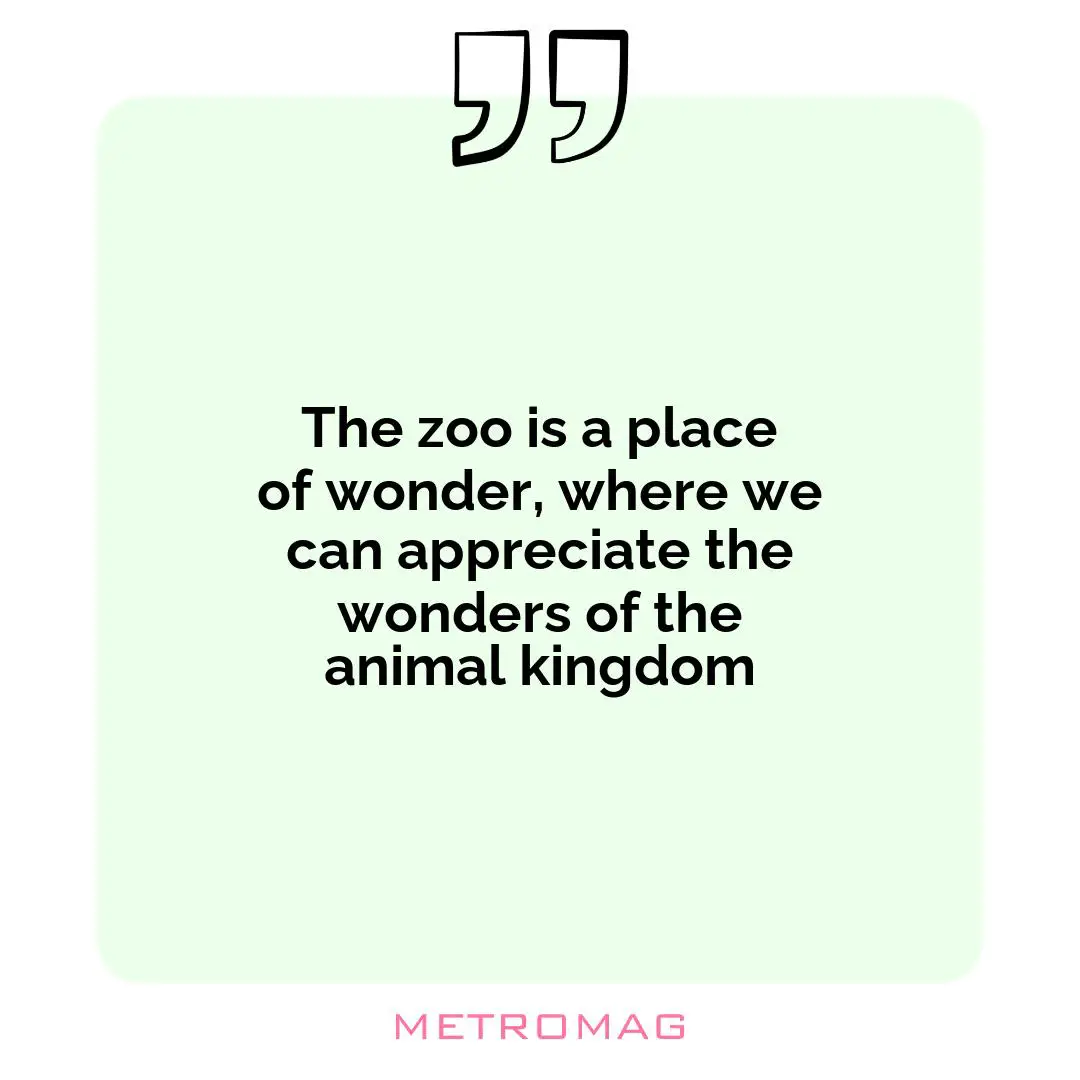 The zoo is a place of wonder, where we can appreciate the wonders of the animal kingdom