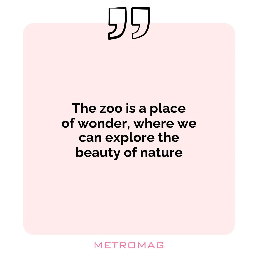 The zoo is a place of wonder, where we can explore the beauty of nature