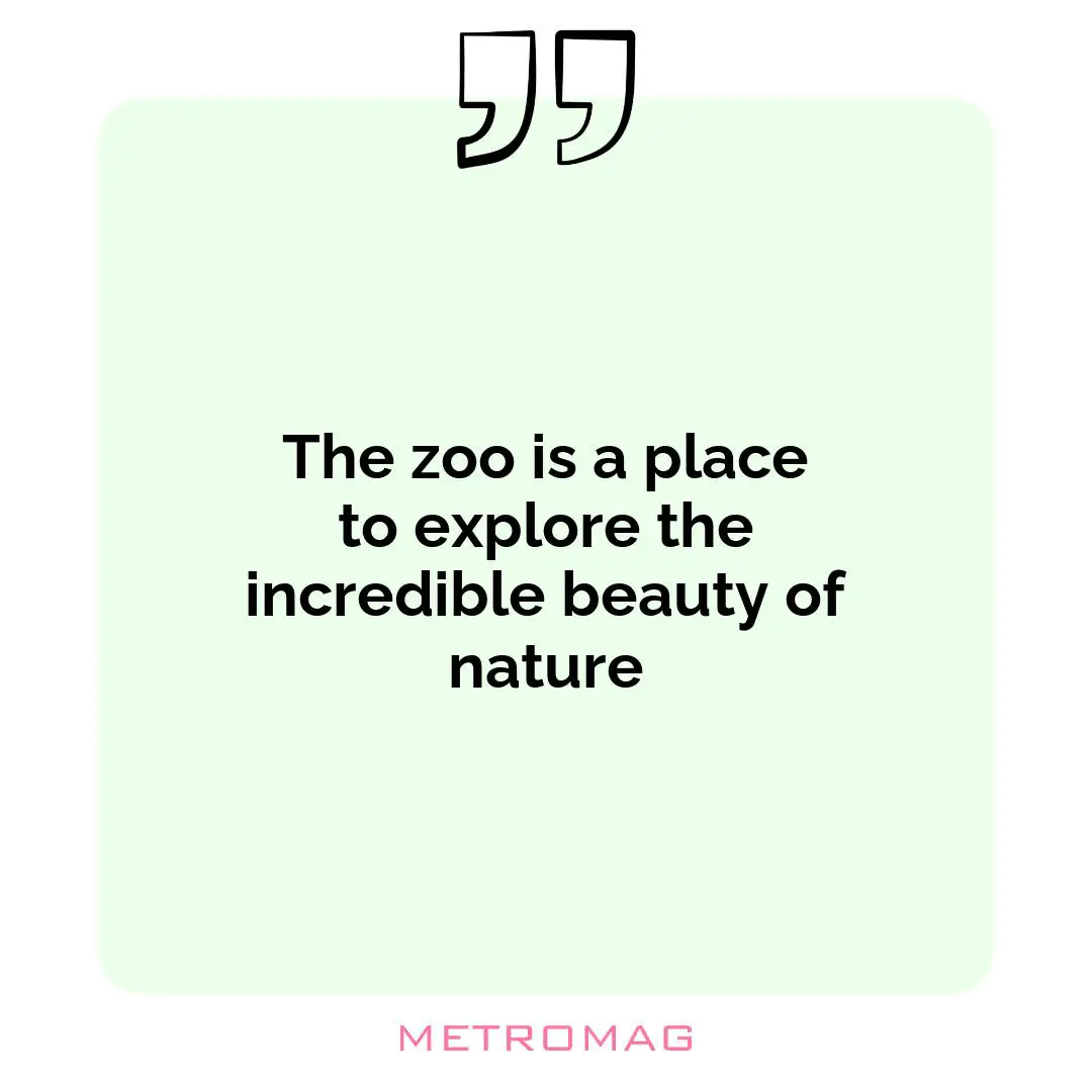 The zoo is a place to explore the incredible beauty of nature
