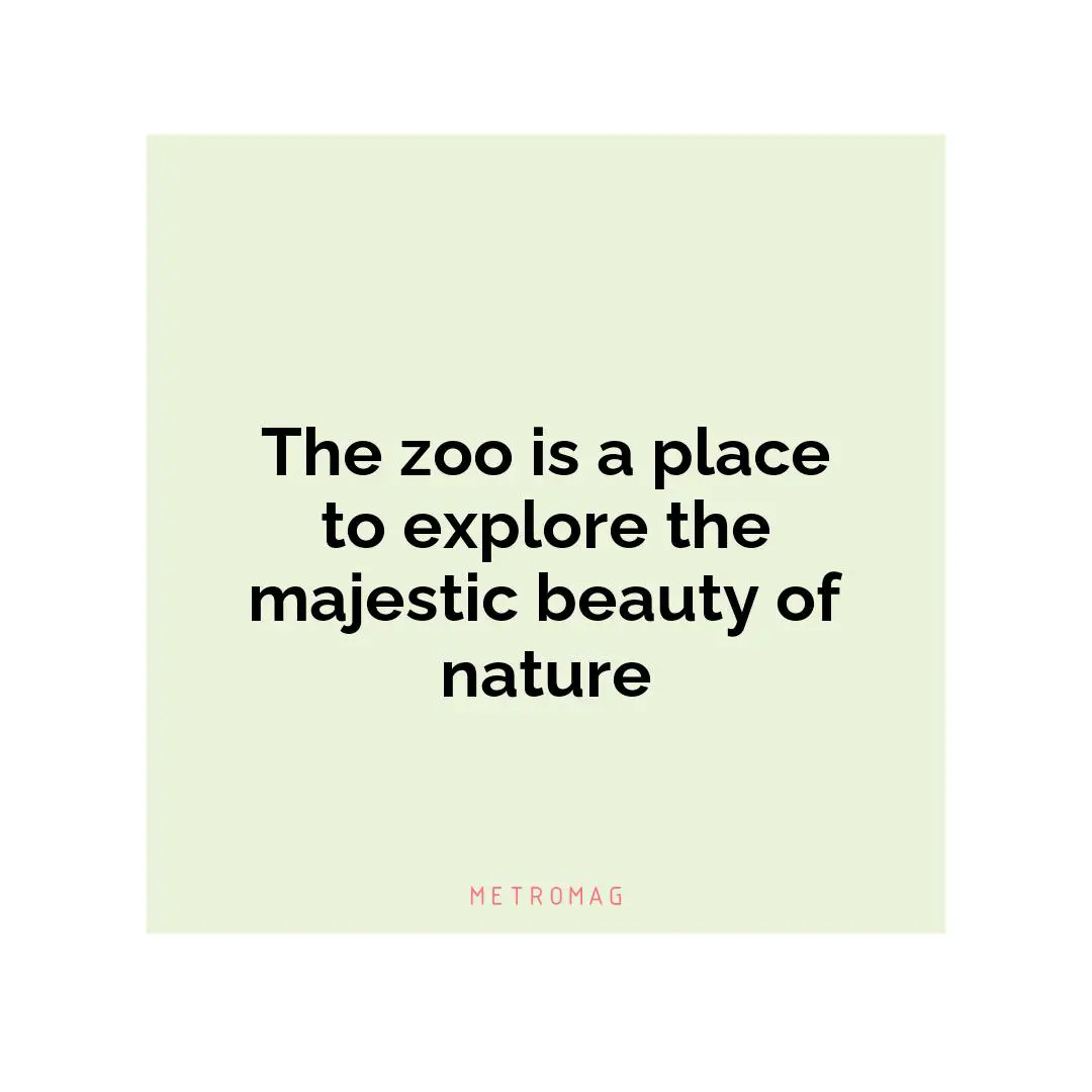 The zoo is a place to explore the majestic beauty of nature