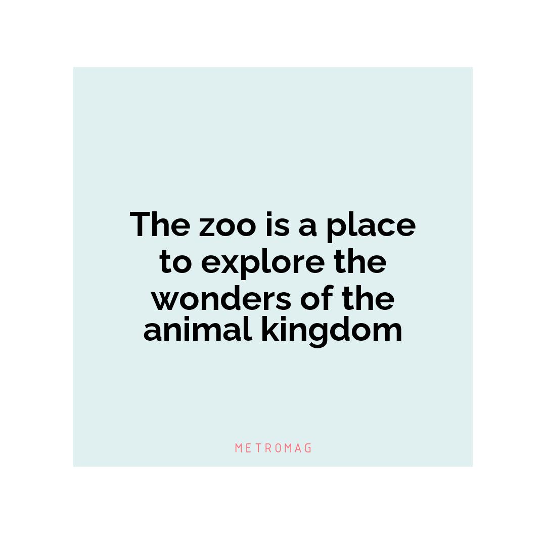 The zoo is a place to explore the wonders of the animal kingdom