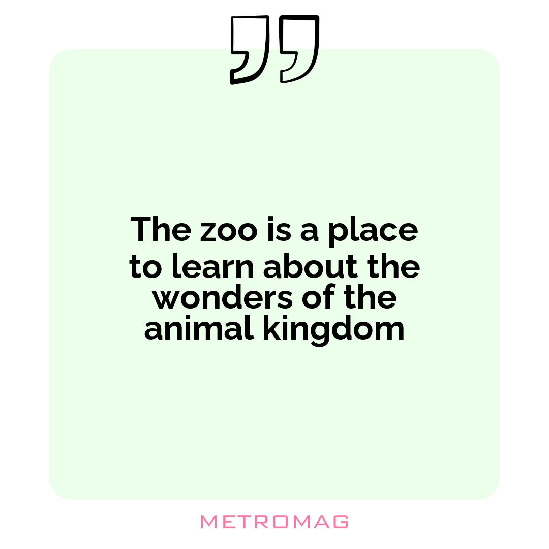 The zoo is a place to learn about the wonders of the animal kingdom