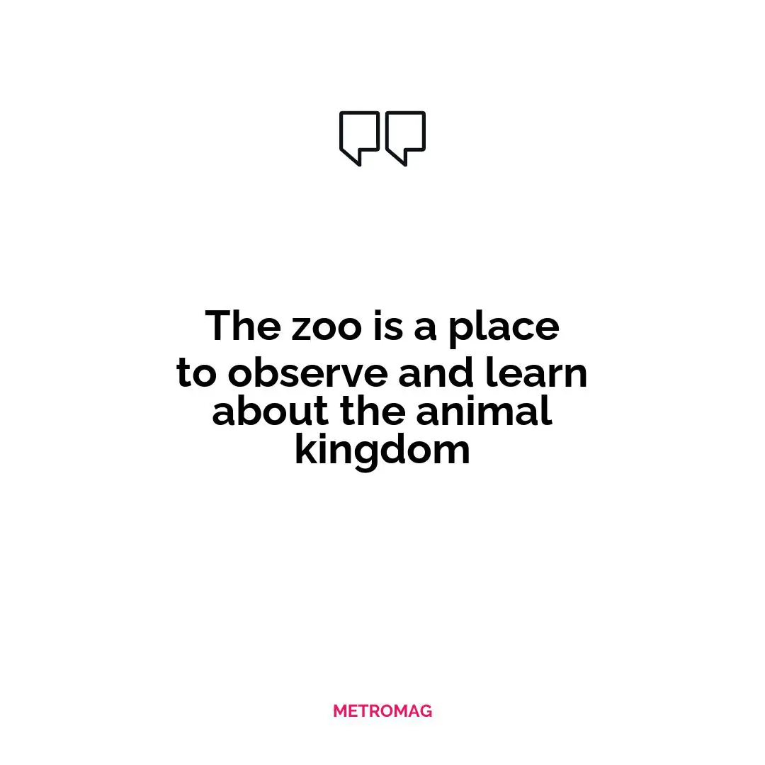 The zoo is a place to observe and learn about the animal kingdom