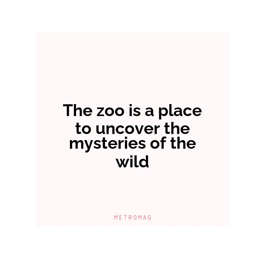 The zoo is a place to uncover the mysteries of the wild