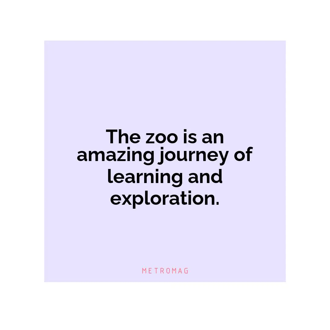 The zoo is an amazing journey of learning and exploration.