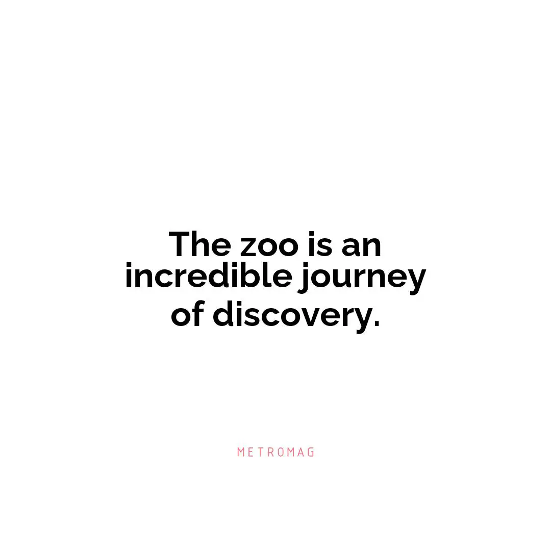 The zoo is an incredible journey of discovery.