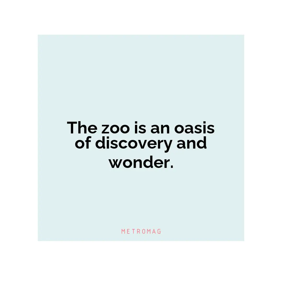 The zoo is an oasis of discovery and wonder.