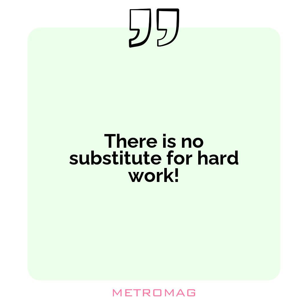 There is no substitute for hard work!