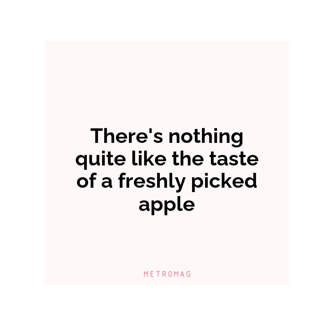 There's nothing quite like the taste of a freshly picked apple