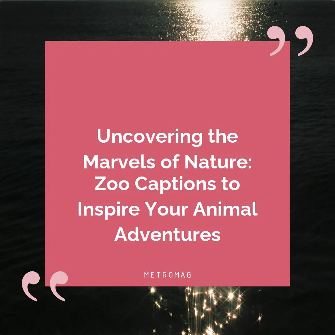 Uncovering the Marvels of Nature: Zoo Captions to Inspire Your Animal Adventures