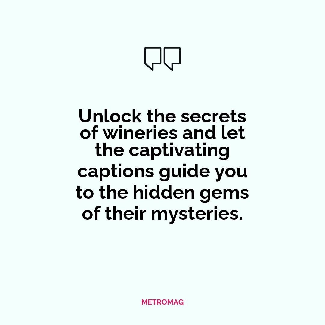 Unlock the secrets of wineries and let the captivating captions guide you to the hidden gems of their mysteries.