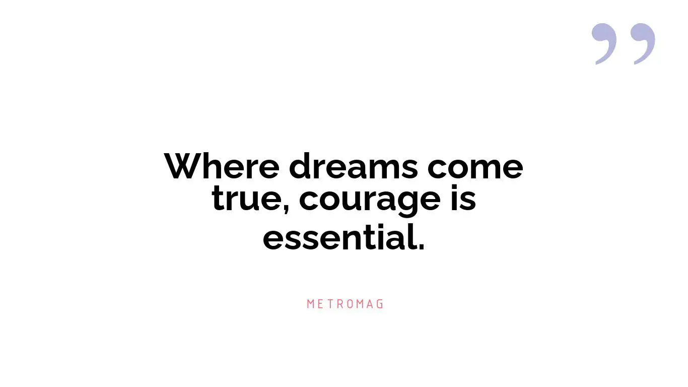 Where dreams come true, courage is essential.