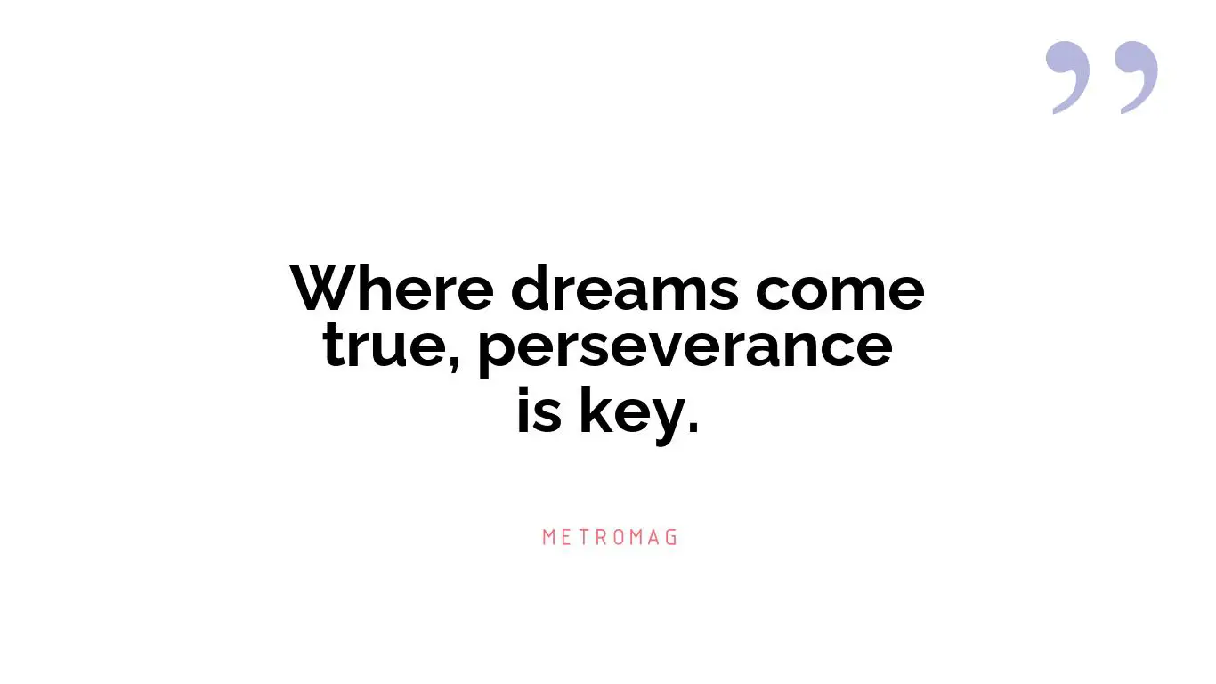 Where dreams come true, perseverance is key.