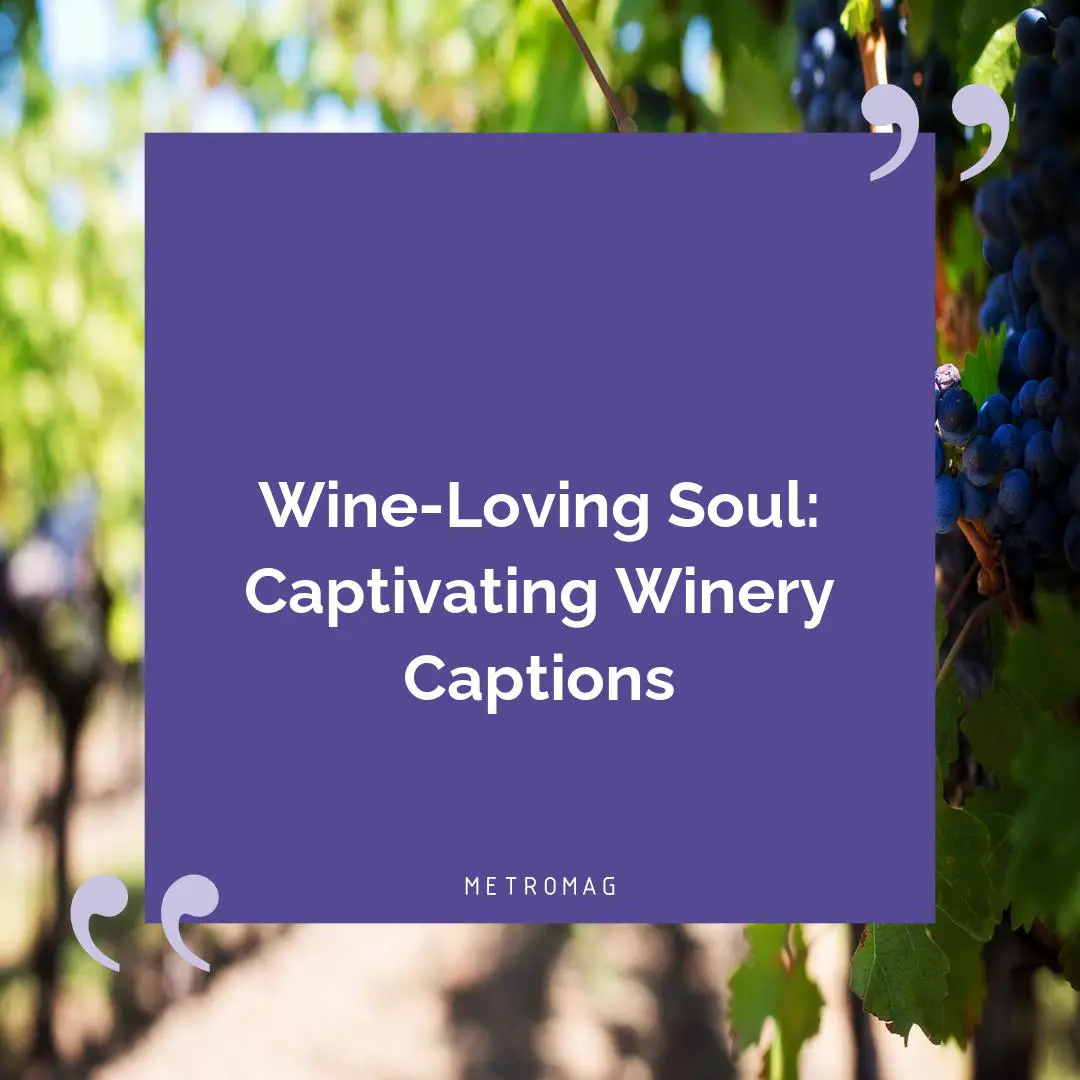 Wine-Loving Soul: Captivating Winery Captions