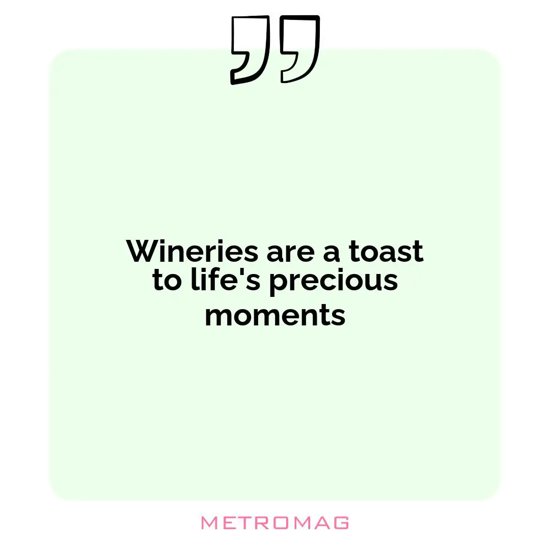 Wineries are a toast to life's precious moments