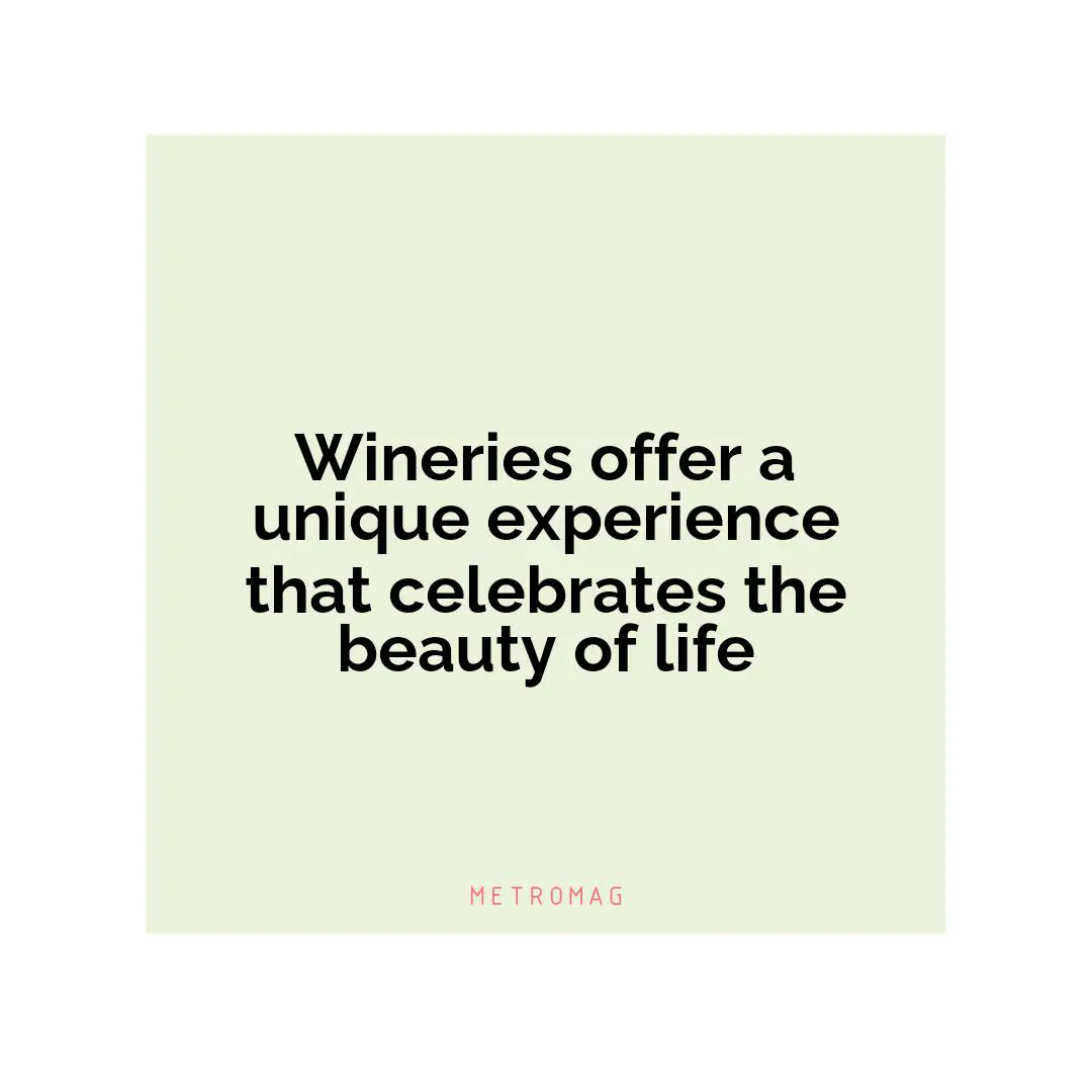 Wineries offer a unique experience that celebrates the beauty of life
