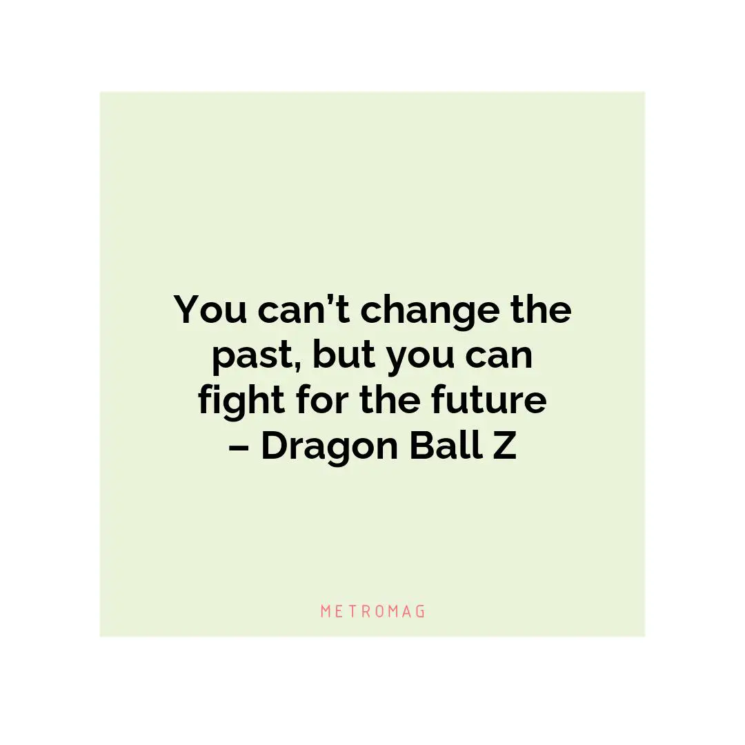 You can’t change the past, but you can fight for the future – Dragon Ball Z