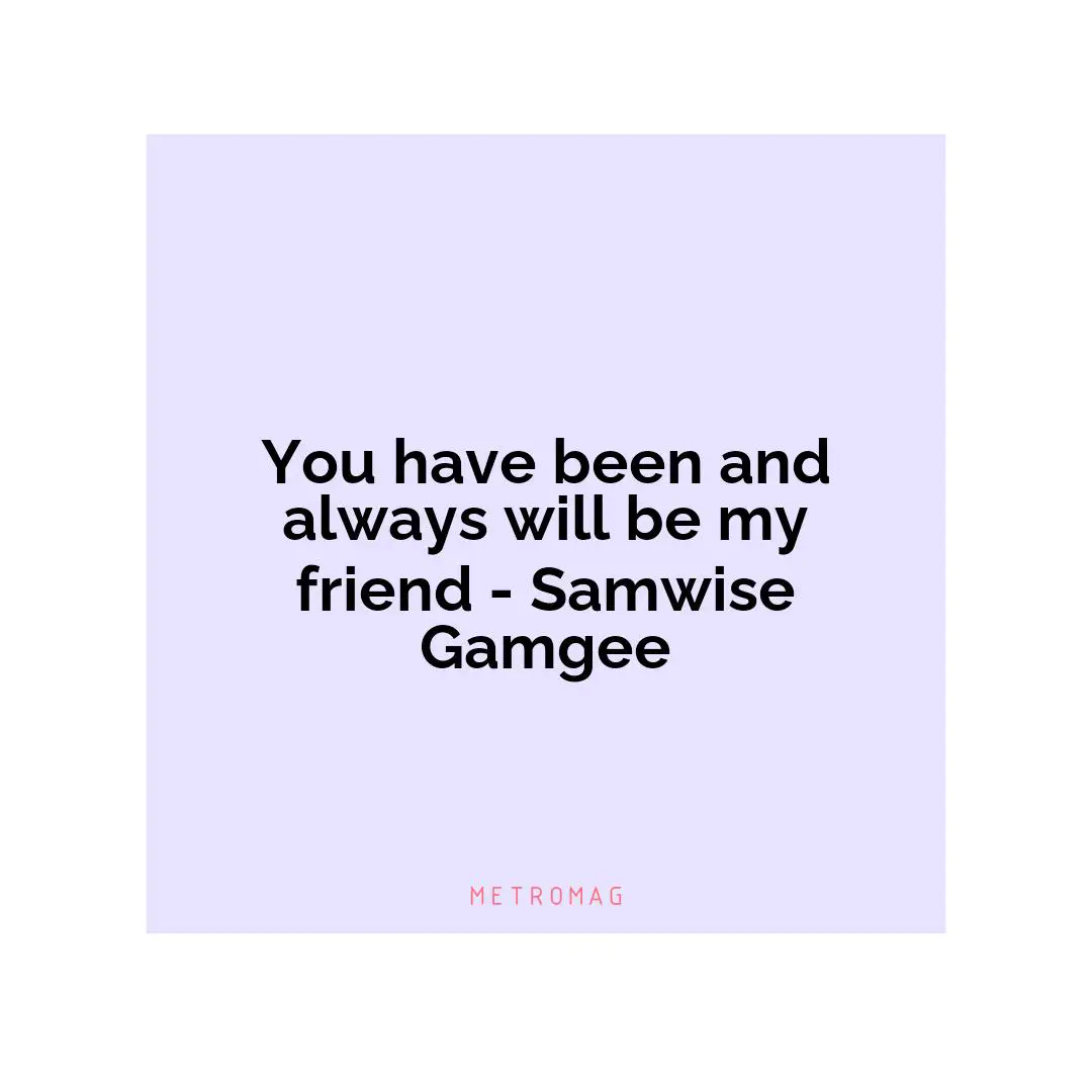 You have been and always will be my friend - Samwise Gamgee