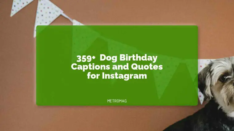 359+ Dog Birthday Captions and Quotes for Instagram