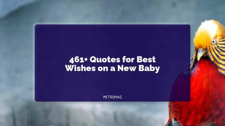 461+ Quotes for Best Wishes on a New Baby