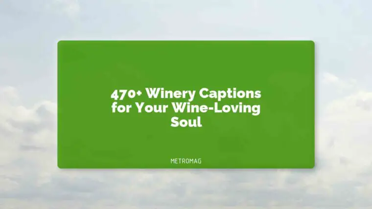 470+ Winery Captions for Your Wine-Loving Soul
