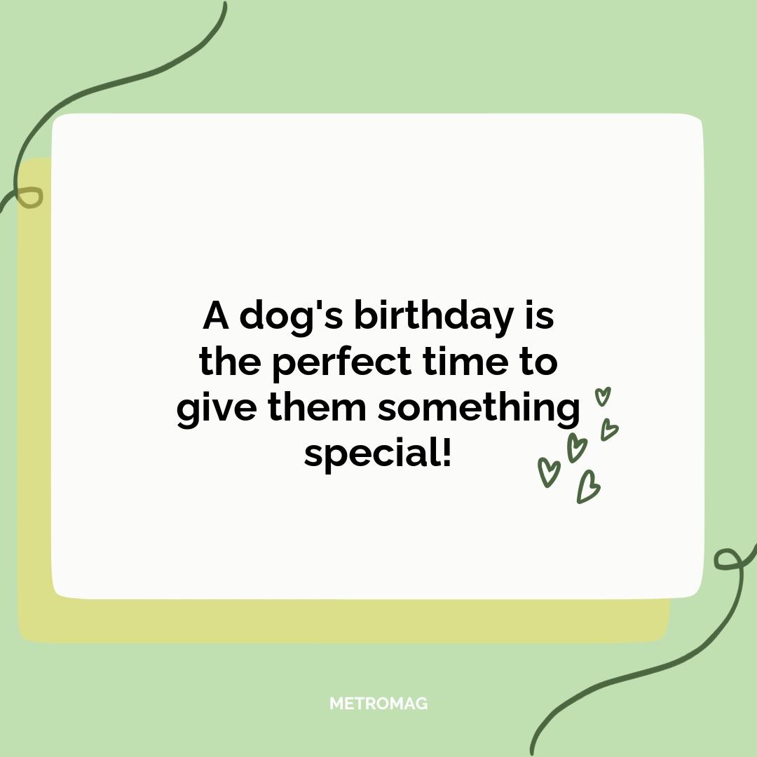A dog's birthday is the perfect time to give them something special!