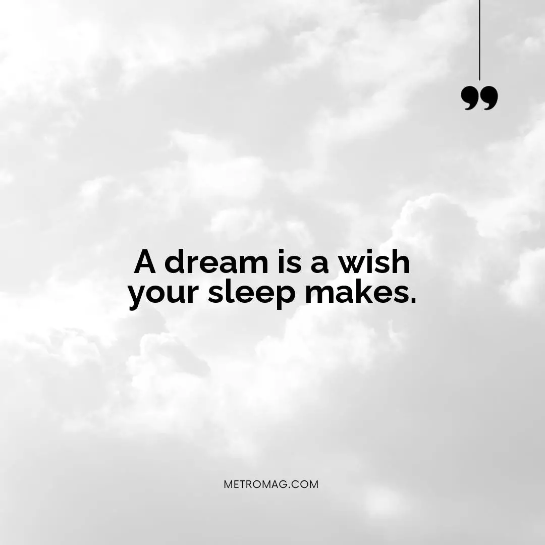 A dream is a wish your sleep makes.