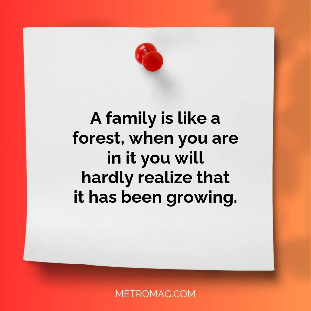 A family is like a forest, when you are in it you will hardly realize that it has been growing.