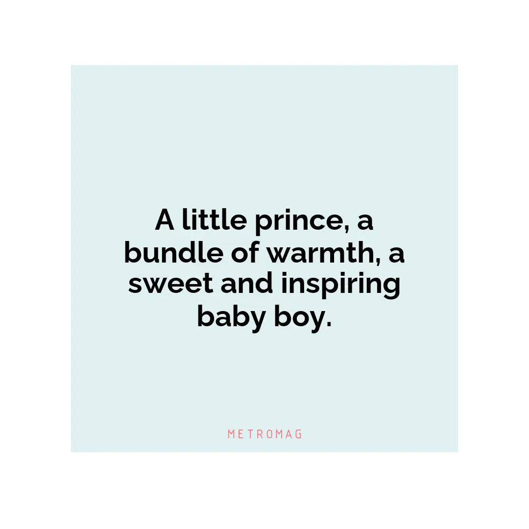 A little prince, a bundle of warmth, a sweet and inspiring baby boy.