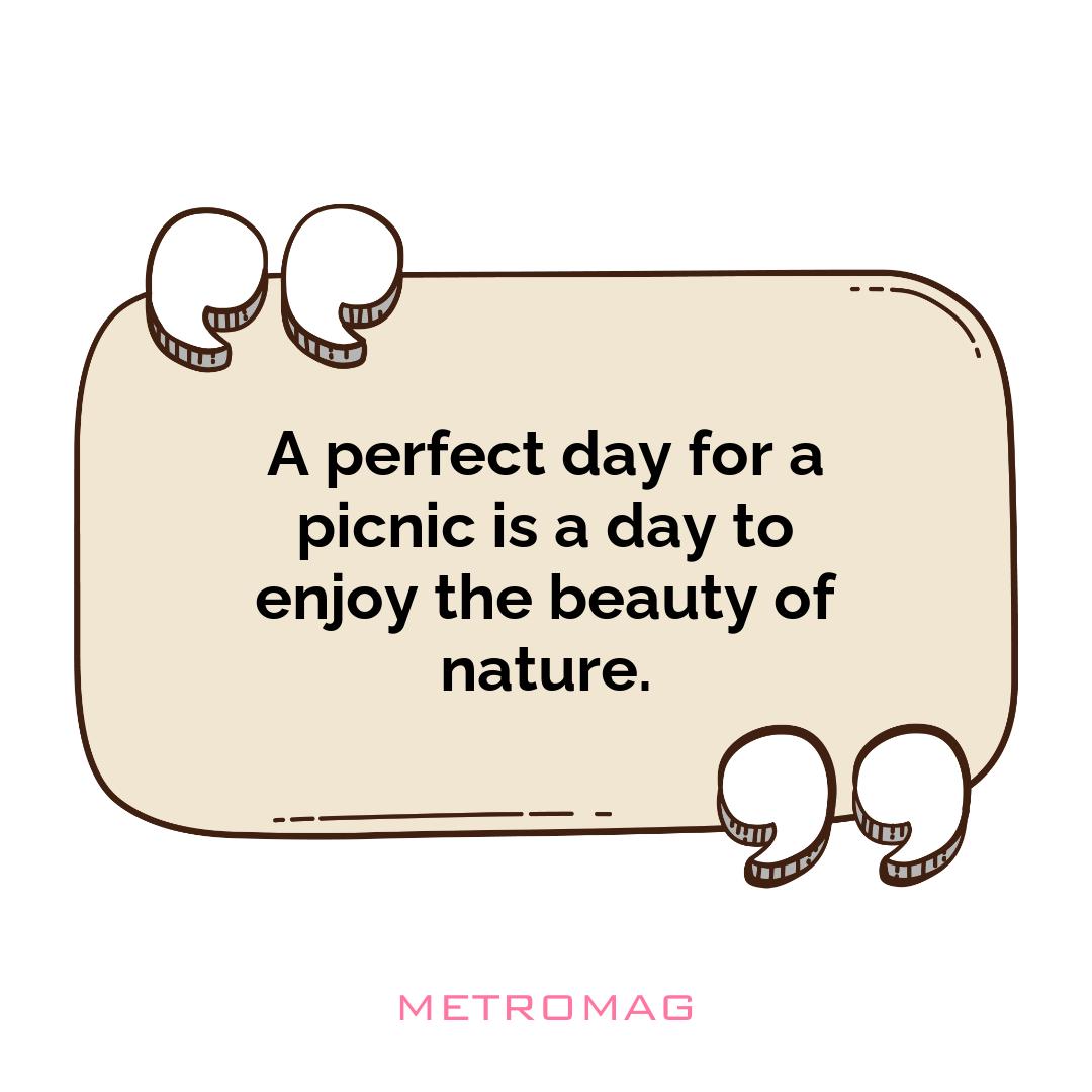 A perfect day for a picnic is a day to enjoy the beauty of nature.