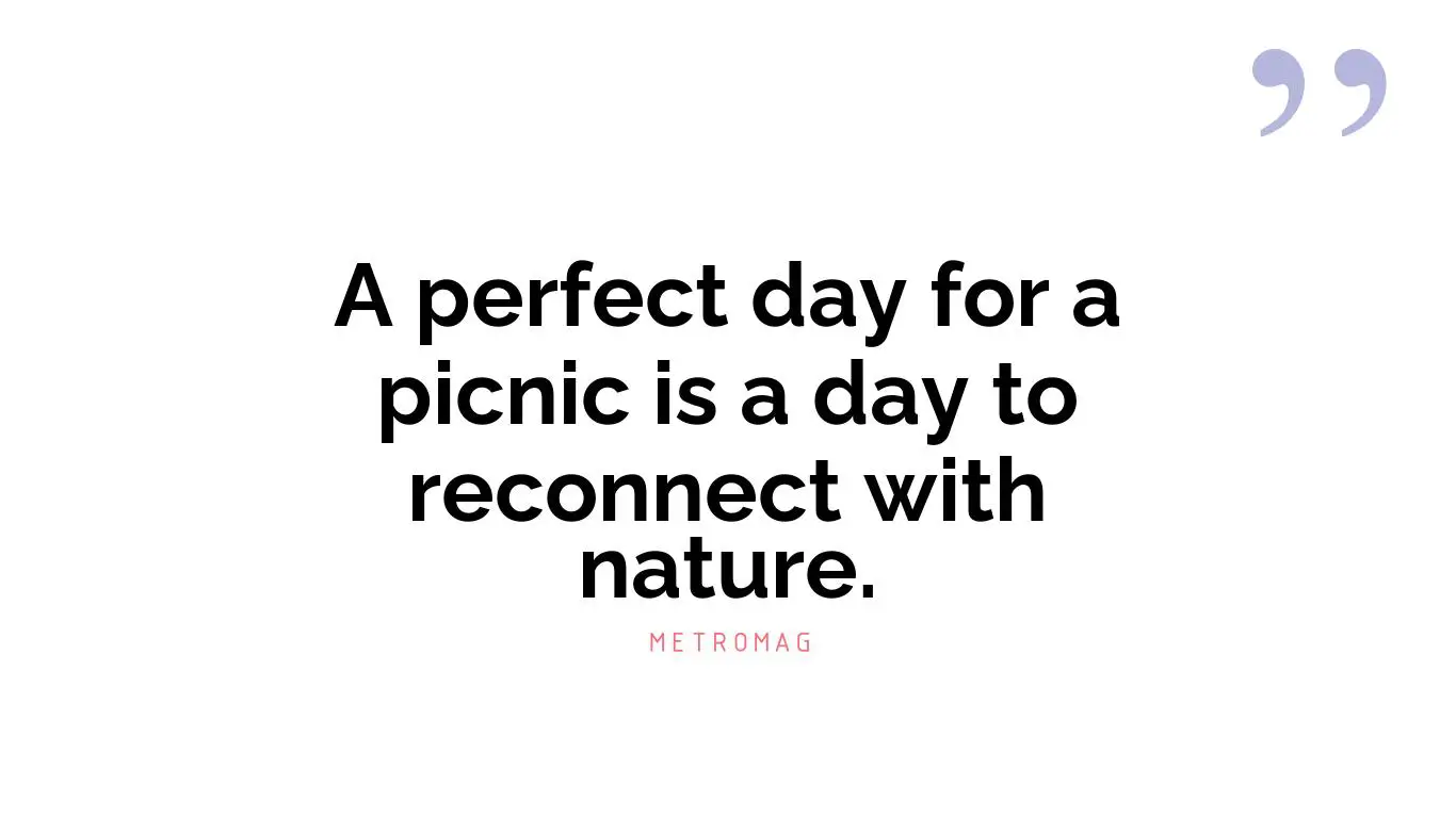 A perfect day for a picnic is a day to reconnect with nature.