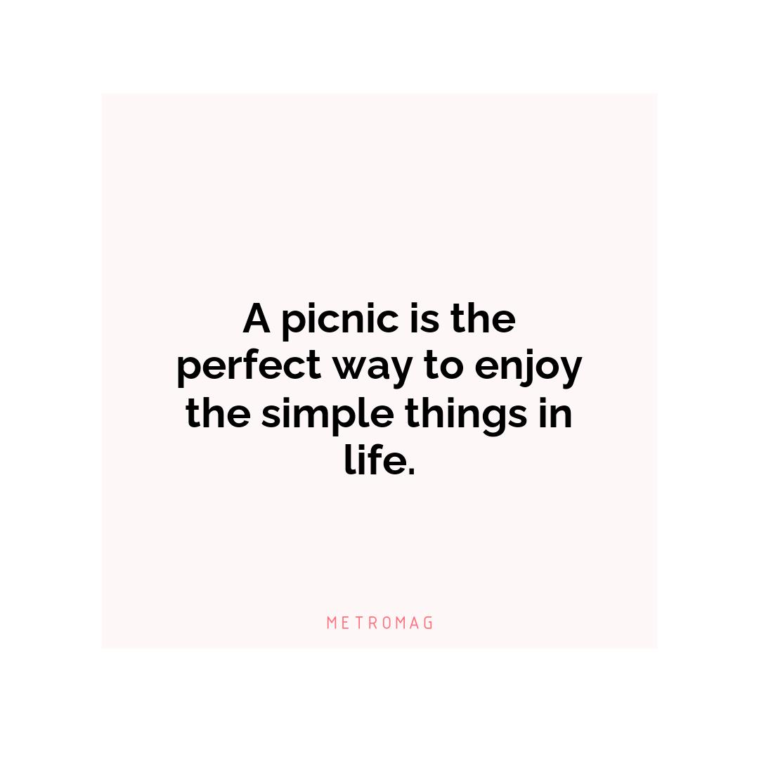 A picnic is the perfect way to enjoy the simple things in life.