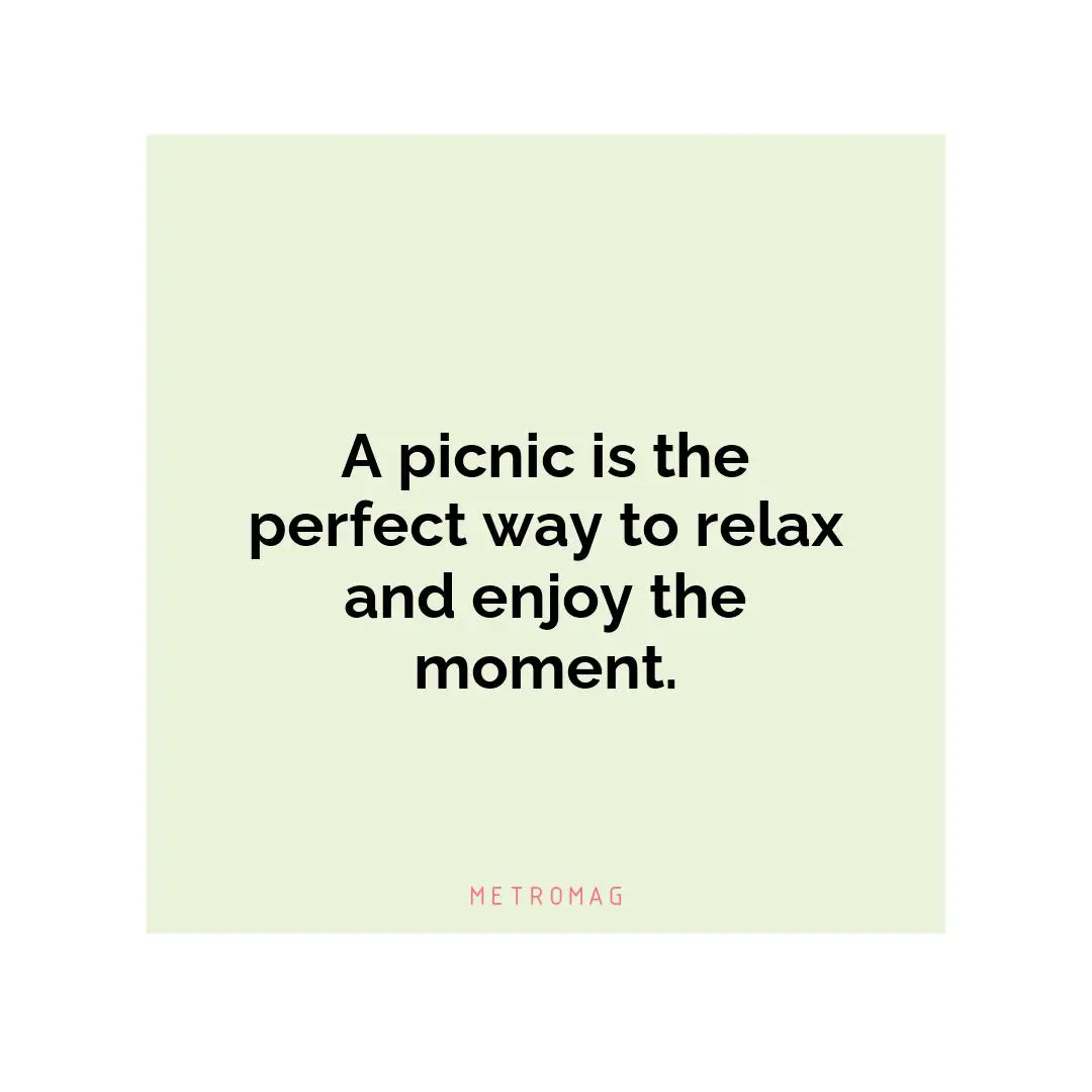 A picnic is the perfect way to relax and enjoy the moment.