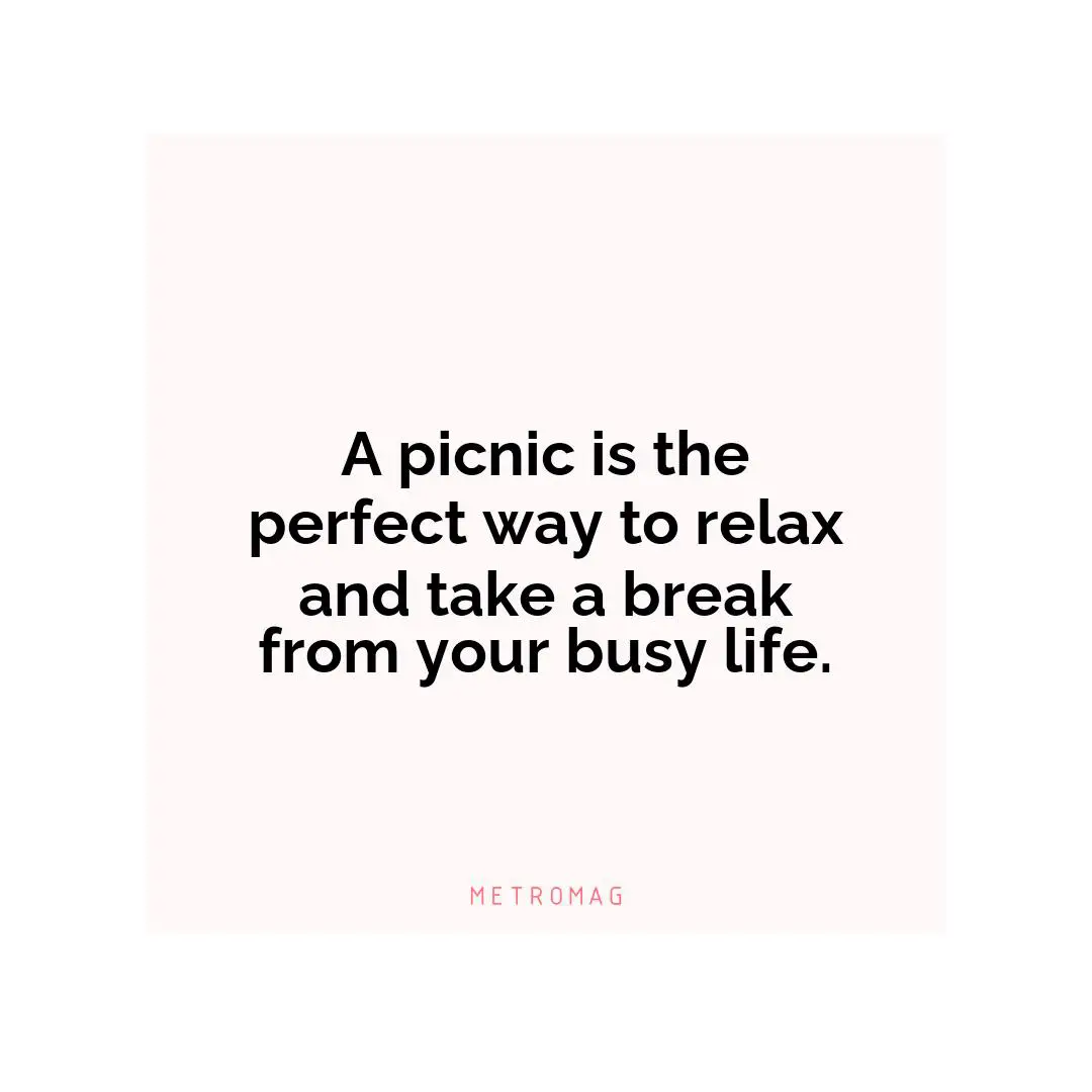 A picnic is the perfect way to relax and take a break from your busy life.