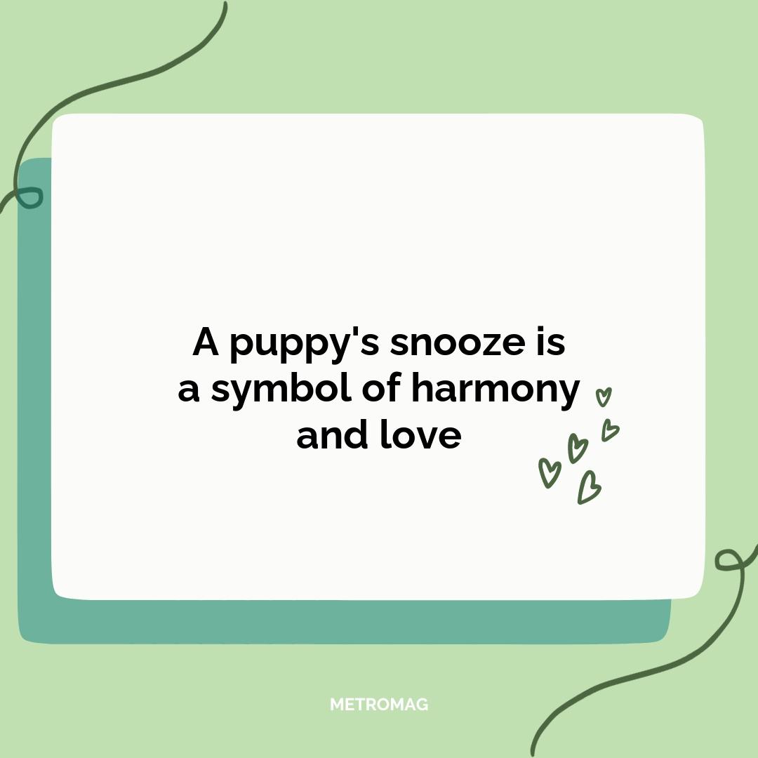 A puppy's snooze is a symbol of harmony and love