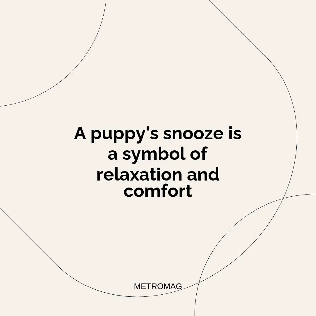 A puppy's snooze is a symbol of relaxation and comfort