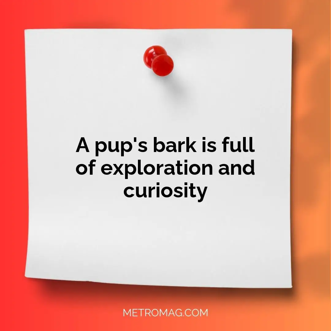 A pup's bark is full of exploration and curiosity