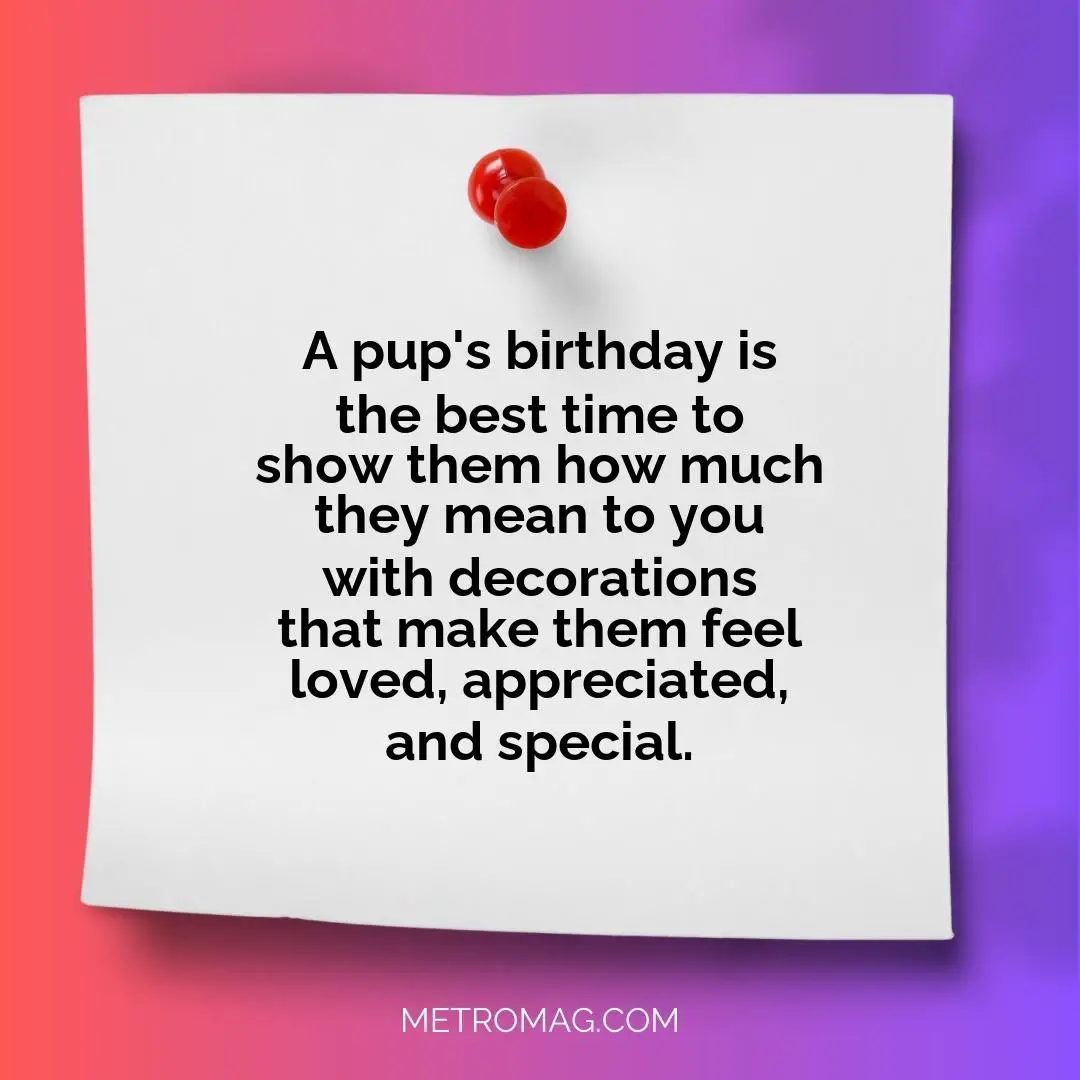 A pup's birthday is the best time to show them how much they mean to you with decorations that make them feel loved, appreciated, and special.