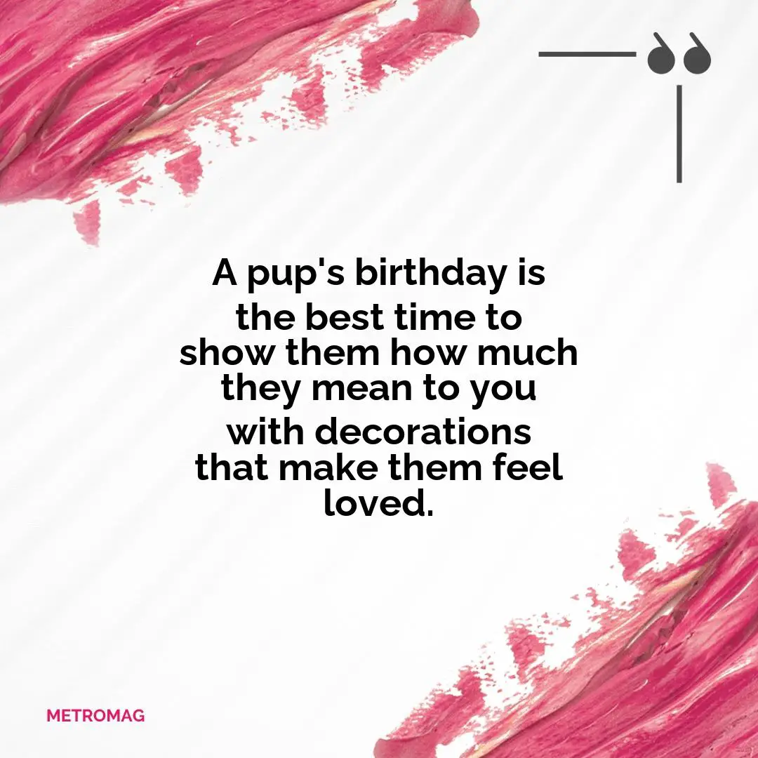 A pup's birthday is the best time to show them how much they mean to you with decorations that make them feel loved.
